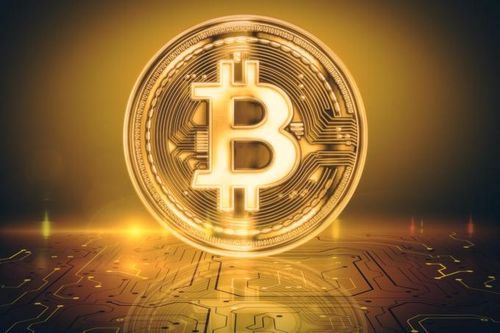 Tiền mã hóa thu hút khoảng 30 tỷ USD trong năm 2021