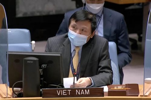Hội đồng Bảo an họp định kỳ về tình hình Trung Đông, bao gồm vấn đề Palestine và thông qua một số nghị quyết