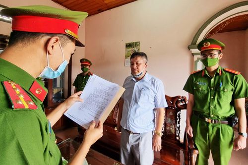 Tàng trữ lâm sản trái phép, một giám đốc ở Lâm Đồng bị khởi tố