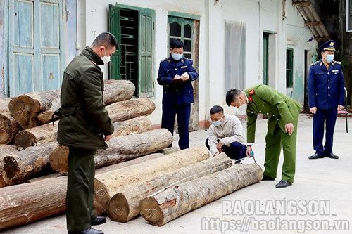 Quyết liệt ngăn chặn vận chuyển gỗ trái phépTin khácNgành dân số Lạng Sơn: 60 năm xây dựng và phát triểnĐội Việt Nam tuyên truyền giải phóng quân - lực lượng tiền thân của Quân đội Nhân dân Việt Nam