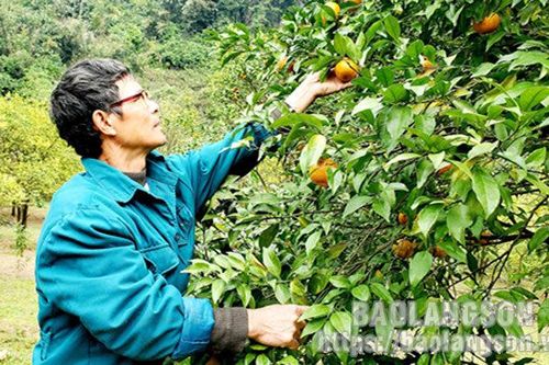 Bình Gia: Chú trọng phát triển vùng trồng quýtTin khácNgành dân số Lạng Sơn: 60 năm xây dựng và phát triểnĐội Việt Nam tuyên truyền giải phóng quân - lực lượng tiền thân của Quân đội Nhân dân Việt Nam