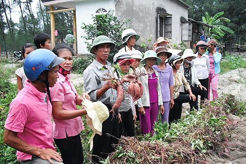 Tiếp tục củng cố đội ngũ khuyến nông và thú y cơ sở