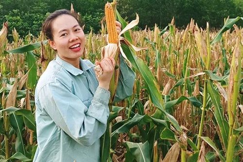 Cô gái Nùng về quê làm mì ngô, đặt mục tiêu xuất khẩu
