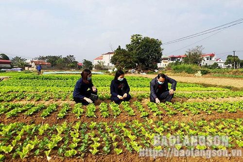 Thành phố Lạng Sơn: Kiểm soát chặt nhãn hiệu chứng nhận đối với sản phẩm rau, củ, quảTin khácNgành dân số Lạng Sơn: 60 năm xây dựng và phát triểnĐội Việt Nam tuyên truyền giải phóng quân - lực lượng tiền thân của Quân đội Nhân dân Việt Nam