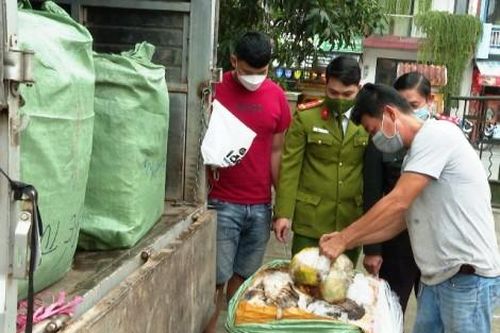 Chính trị - Xã hội Pháp luật - Cuộc sống Bắt giữ ô tô vận chuyển hơn 1 tấn nội tạng không rõ nguồn gốc