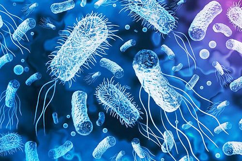 Phát hiện 'khắc tinh' của tình trạng kháng kháng sinh