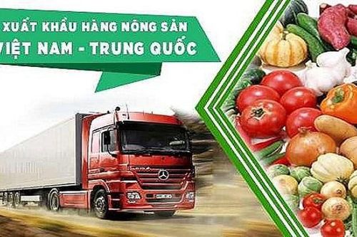 Hơn 1.000 mã sản phẩm Việt Nam được xuất khẩu sang Trung Quốc