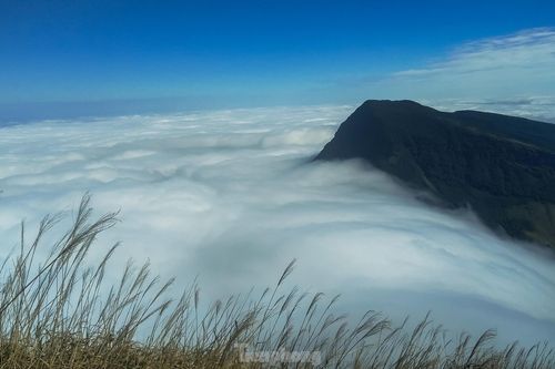 Đỉnh Mẫu Sơn trời rét 1 độ C, xuất hiện sương mù mờ ảo, nhiều khả năng có băng tuyết