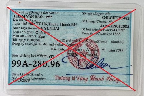 Phê chuẩn khởi tố lái xe dùng giấy đăng ký ô tô giả