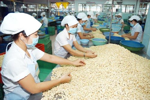 Lý do nhập siêu gạo, hồ tiêu, hạt điều tăng đột biến