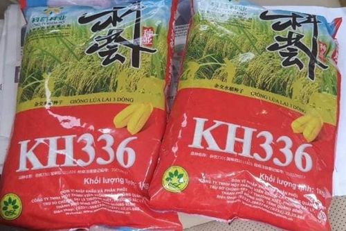 Nghệ An: Phát hiện 2 tấn lúa giống chưa được cấp phép