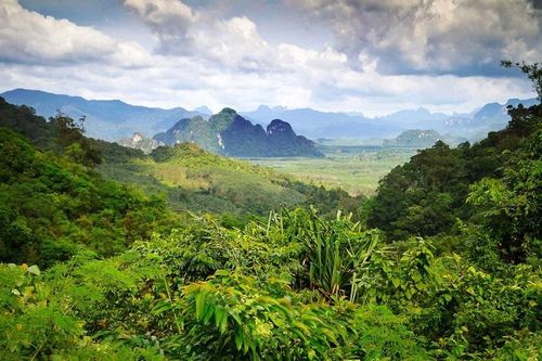 Cuộc đua 10 năm để cứu lấy Trái đất
