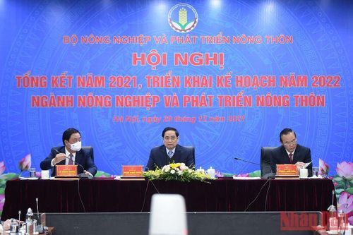 Năm 2021, ngành nông nghiệp đạt được kết quả ấn tượng