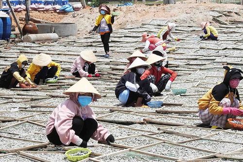 Đào tạo nghề gắn với thực tế cho lao động nông thôn Ninh Thuận