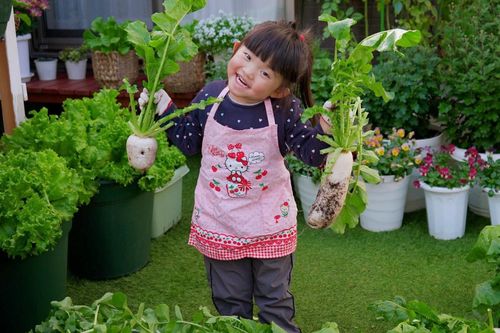 Mẹ Việt ở Nhật dạy con làm vườn từ nhỏ