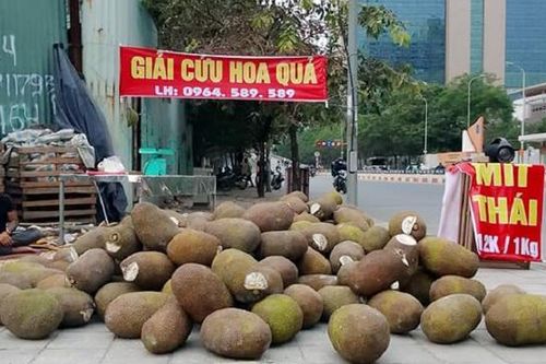 Mít Thái giá rẻ đổ bộ phố phường Hà Nội