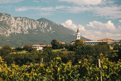 Thung lũng Vipava: Kho báu ẩn tuyệt đẹp của Slovenia