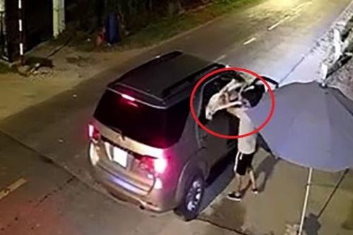 Dùng ô tô đi... bắn trộm chó