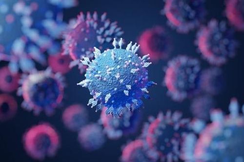 Cảnh báo: Pháp phát hiện biến thể mới chứa 46 đột biến, né được vaccine, liệu có vượt Omicron?