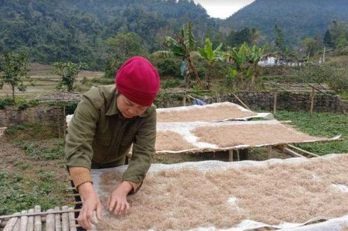 'Miến tráng tay' dong riềng: Tiếng gọi mùa xuân trên Bản Cào