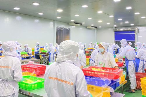 Tết này, hàng trăm lao động Đắk Lắk lo bị nợ lương