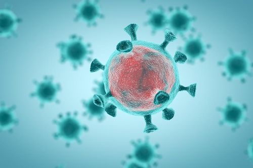 Omicron báo hiệu virus suy yếu và khả năng đạt miễn dịch cộng đồng?