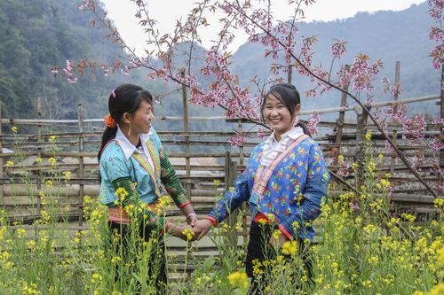 Ngỡ ngàng vẻ đẹp Pằng Tớ Dày, tín hiệu của mùa Xuân Tây Bắc