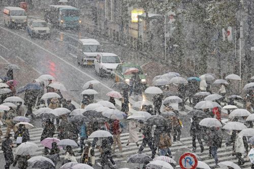 Cảnh báo tuyết rơi nhiều tại trung tâm Tokyo lần đầu tiên trong 4 năm