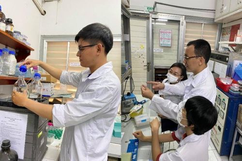 Que thử phát hiện nhanh bệnh trên tôm
