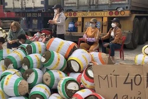 Khó khăn trong xuất khẩu nông sản còn kéo dài