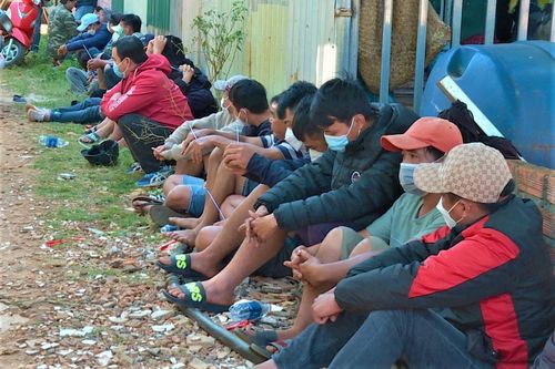 Phá sới gà 'khủng' trong rẫy cà phê có người cảnh giới
