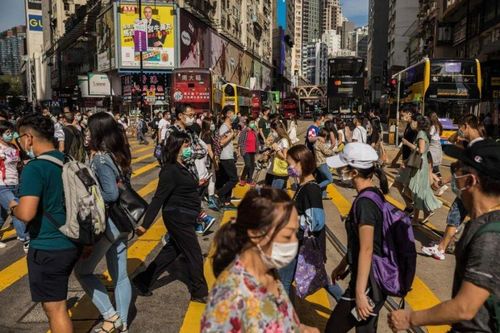Giới chức Hong Kong 'thấm đòn' chính sách chống dịch của chính mình