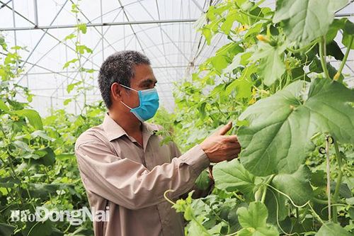 Sản xuất nông nghiệp: Muốn cạnh tranh, cần minh bạch