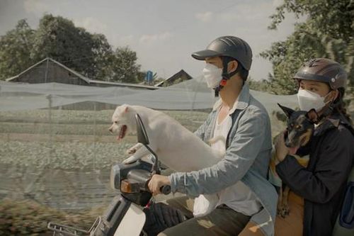 Bùi Công Nam khiến Vnet 'ngẹn lời' khi Tết chỉ cần về nhà, gặp lại người thân đã là đủ đầy