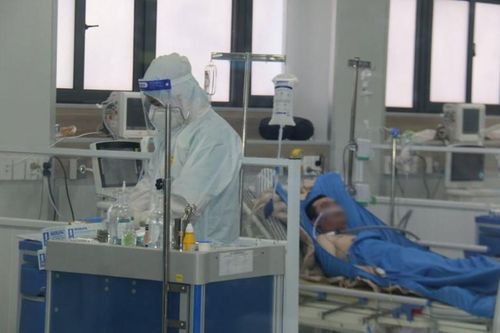 F0 tăng, Hà Nội cần làm gì?