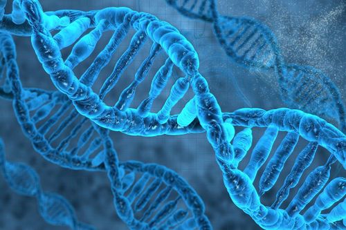 Phát hiện gene làm tăng gấp đôi nguy cơ mắc Covid-19 nặng