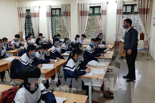 Lịch nghỉ Tết Nguyên đán Nhâm Dần của học sinh Lào Cai