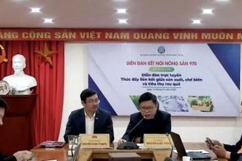 Thanh long chính thức được thông quan tại Cửa khẩu Móng Cái và cửa khẩu Hà Khẩu