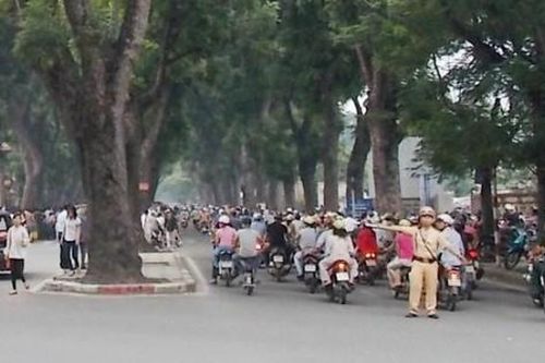 Cấm xe nhiều tuyến phố Hà Nội phục vụ chợ hoa Tết Nhâm Dần