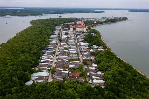 TP.HCM đã mất hơn 1.000 ha rừng?