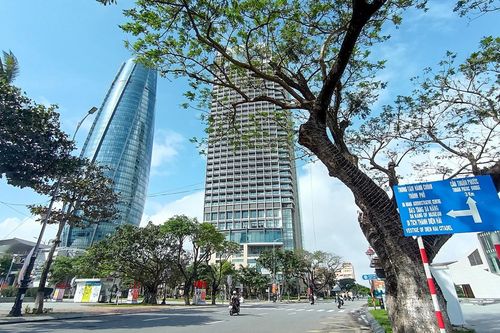 Đà Nẵng không 'ngăn sông, cấm chợ', tạo mọi điều kiện để người dân vui đón Tết