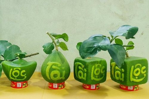 Những 'Làng mùa xuân' ở miền Tây