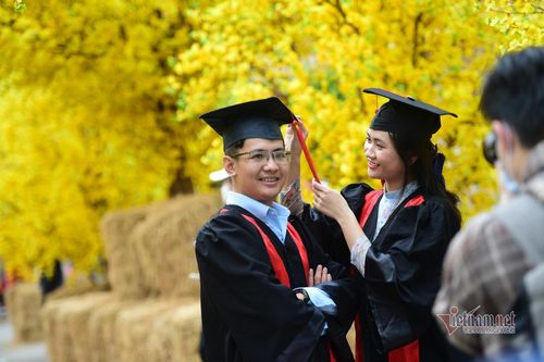 Đường mai TP.HCM nhộn nhịp du khách