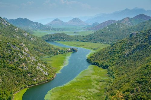 Nâng cao dịch vụ môi trường rừng góp phần phát triển rừng bền vững