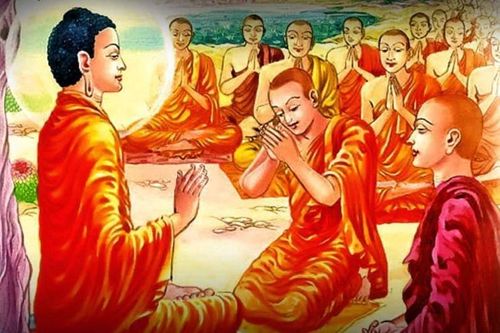 Một nắm lá rừng
