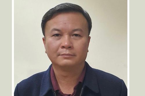 Khởi tố Chủ tịch Công ty TNHH MTV Công viên cây xanh Hà Nội