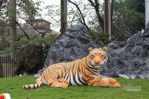 Tượng linh vật hổ đón xuân Nhâm Dần khiến ai cũng trầm trồ ở Thái Nguyên