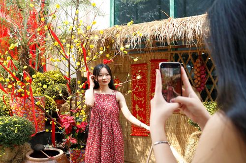 Hàng quán ở TP.HCM trang trí Tết sớm