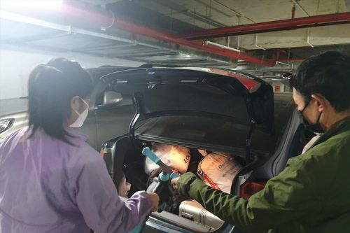 Chung xe về quê ăn Tết