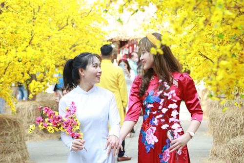 Bạn trẻ đến với không gian Tết cổ truyền, khoe sắc giữa 'rừng' mai vàng rực rỡ